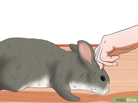 Imagen titulada Care for a House Rabbit Step 26