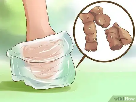 Imagen titulada Get Rid of Tapeworms in a Puppy Step 6