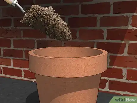 Imagen titulada Transplant a Plant Step 3