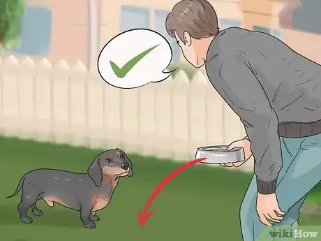 Imagen titulada Discipline Your Dog Step 4