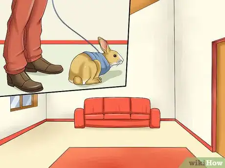 Imagen titulada Walk a Rabbit Step 5