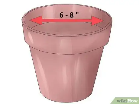 Imagen titulada Care for Geraniums in Winter Step 3