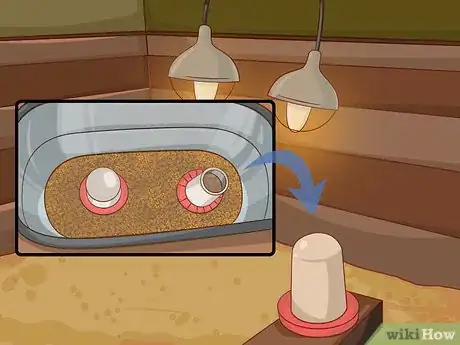 Imagen titulada Protect Chickens from Feral Animals Step 7