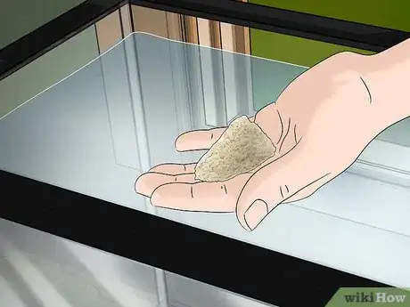 Imagen titulada Feed a Snail Step 11