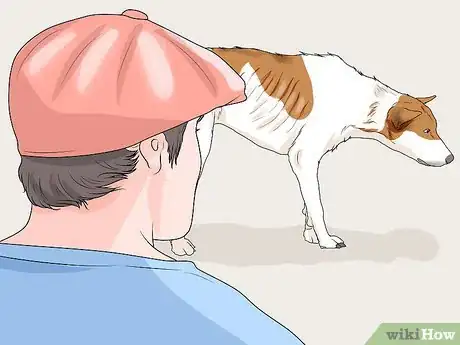 Imagen titulada Spot Signs of Muscle Loss in Dogs Step 7