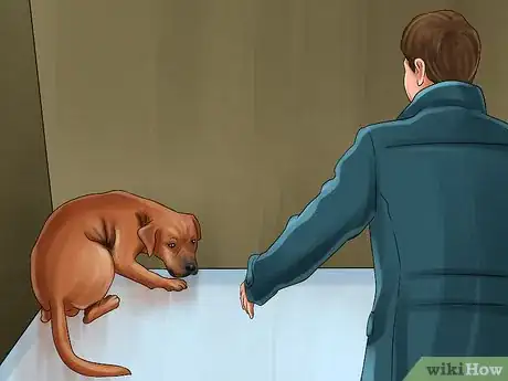 Imagen titulada Gauge Your Senior Dog's Quality of Life Step 3