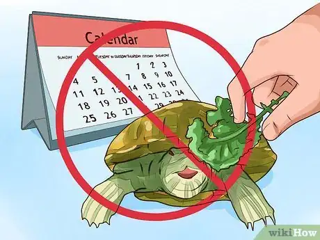 Imagen titulada Know What to Feed a Turtle Step 7