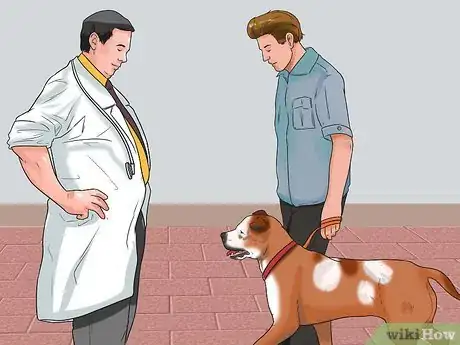 Imagen titulada Tell if Your Dog Has Parvo Step 8