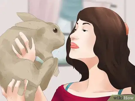 Imagen titulada Understand Your Rabbit Step 8