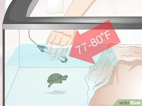 Imagen titulada Keep a Turtle Healthy Step 6