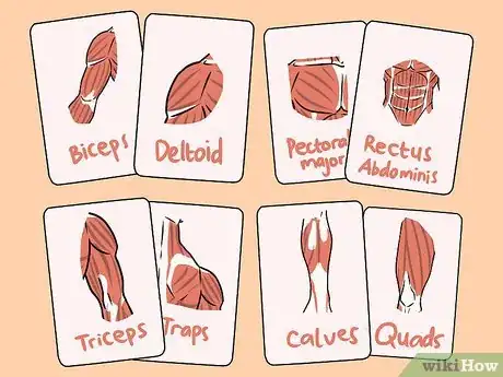 Imagen titulada Study Muscle Anatomy Step 8