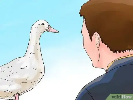 Imagen titulada Care for a Pet Duck Step 15