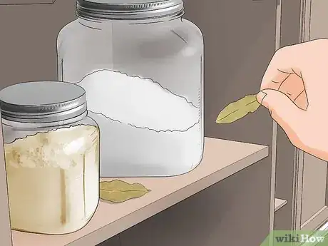 Imagen titulada Get Rid of Pantry Bugs Step 10