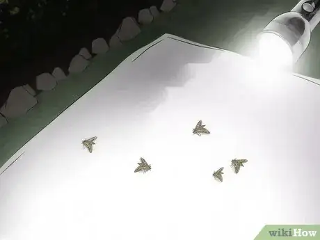 Imagen titulada Make an Insect Catching Kit Step 14