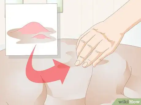 Imagen titulada Get Rid of a Rash on a Dog Step 11