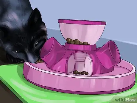 Imagen titulada Stop Your Cat from Eating Plastic Bags Step 7