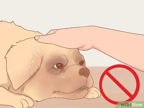 Imagen titulada Travel by Car with Your Dog Step 14
