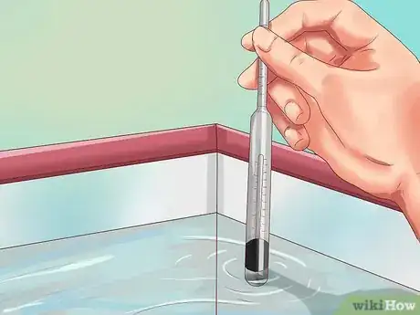 Imagen titulada Measure Salinity Step 9