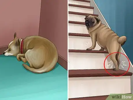 Imagen titulada Gauge Your Senior Dog's Quality of Life Step 6