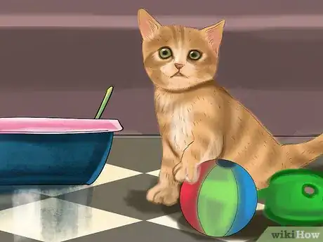 Imagen titulada Retrain a Cat to Use the Litter Box Step 2