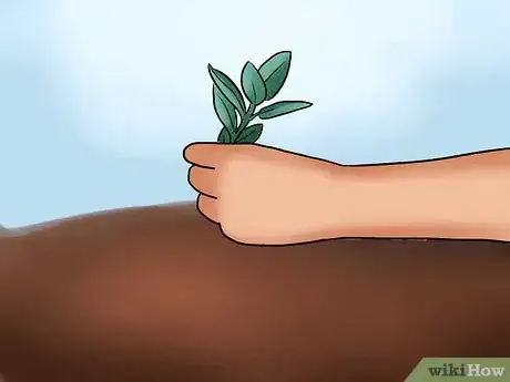 Imagen titulada Care for Azaleas Step 5