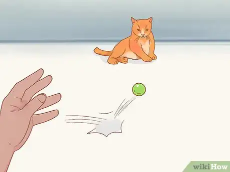 Imagen titulada Stop Your Cat from Attacking Your Dog Step 9