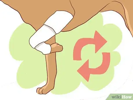 Imagen titulada Wrap a Dog’s Shoulder Step 17