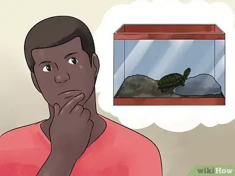 Imagen titulada Care for Your Box Turtle Step 3