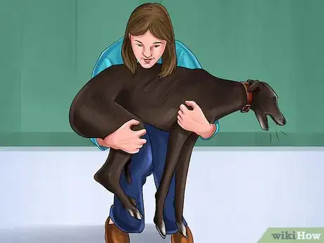 Imagen titulada Gauge Your Senior Dog's Quality of Life Step 4