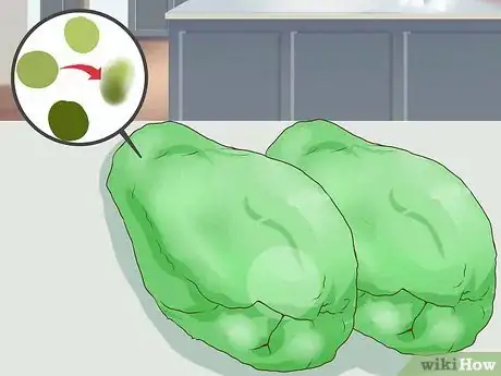 Imagen titulada Select and Use Chokos (Chayote Squash) Step 2