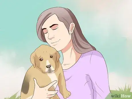 Imagen titulada Comfort Your Sick Dog Step 4