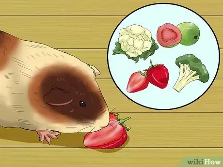 Imagen titulada Feed Guinea Pigs Vitamin C Step 4