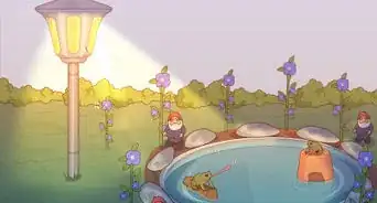 crear un hábitat para un sapo