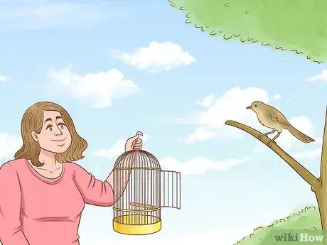 Imagen titulada Catch a Bird Step 11