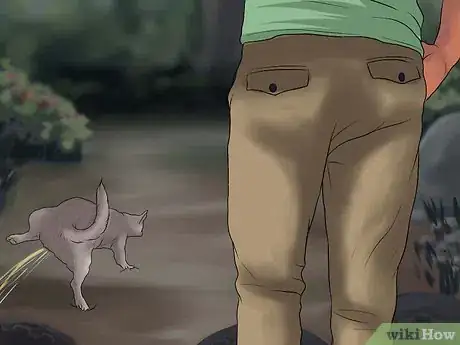 Imagen titulada Potty Train a Chihuahua Step 7