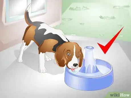 Imagen titulada Get a Sick Dog to Drink Step 8
