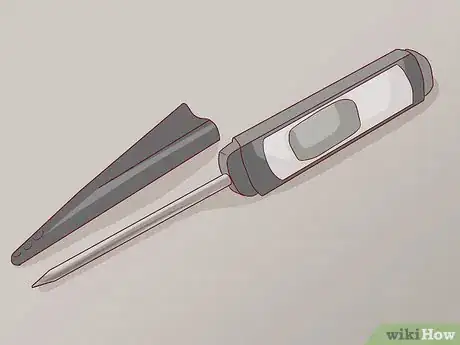 Imagen titulada Choose a Food Thermometer Step 1