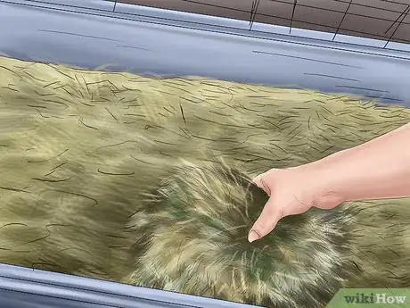 Imagen titulada Care for Your Ball Python Step 7