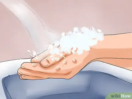 Imagen titulada Avoid the Stomach Flu Step 1