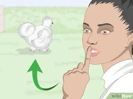 Imagen titulada Pet a Chicken Step 1