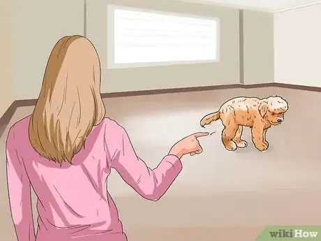 Imagen titulada Train Goldendoodles Step 7