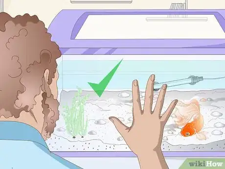 Imagen titulada Fix Scratches on an Aquarium Step 5