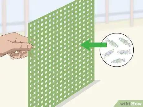 Imagen titulada Make a Fish Tank Divider Step 1