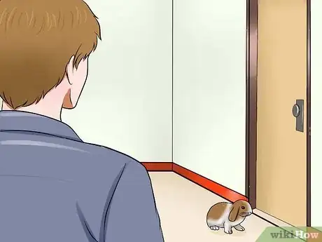 Imagen titulada Care for a House Rabbit Step 23