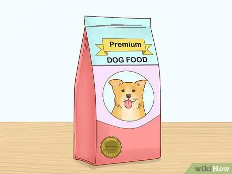 Imagen titulada Get a Dog to Stop Eating Dirt Step 7