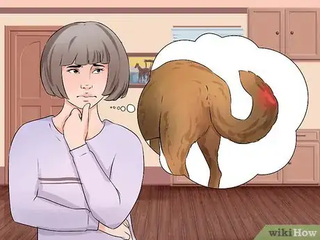 Imagen titulada Wrap a Dog's Tail Step 1