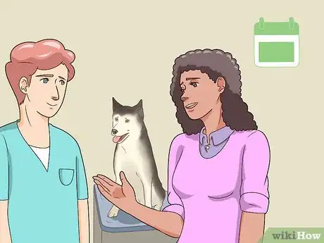 Imagen titulada Monitor the Stages of Labor in Dogs Step 1