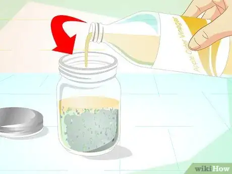 Imagen titulada Make an Herbal Flea Remedy for Cats Step 2
