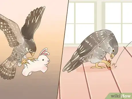 Imagen titulada Train Your First Falcon Step 8