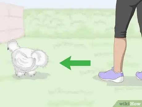 Imagen titulada Pet a Chicken Step 2